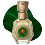 Suggest Product Thumbnail